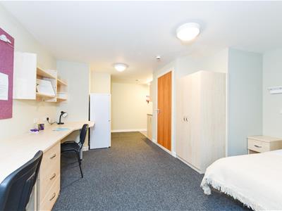 Picture 13